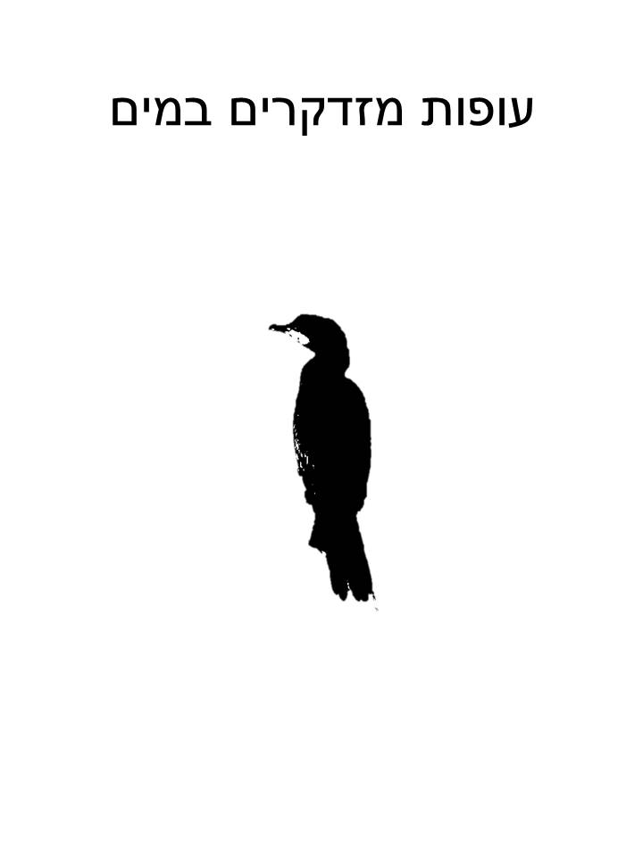 מזדקרים במים