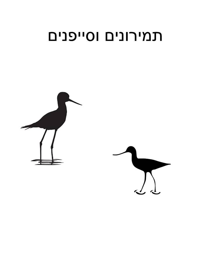 סייפנים ותמירונים