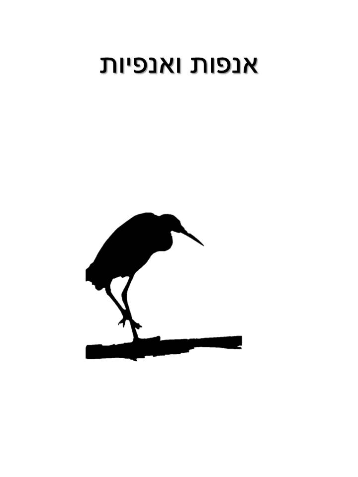 אנפות ואנפיות