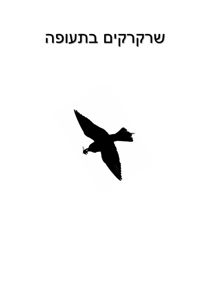 שרקרקים בתעופה